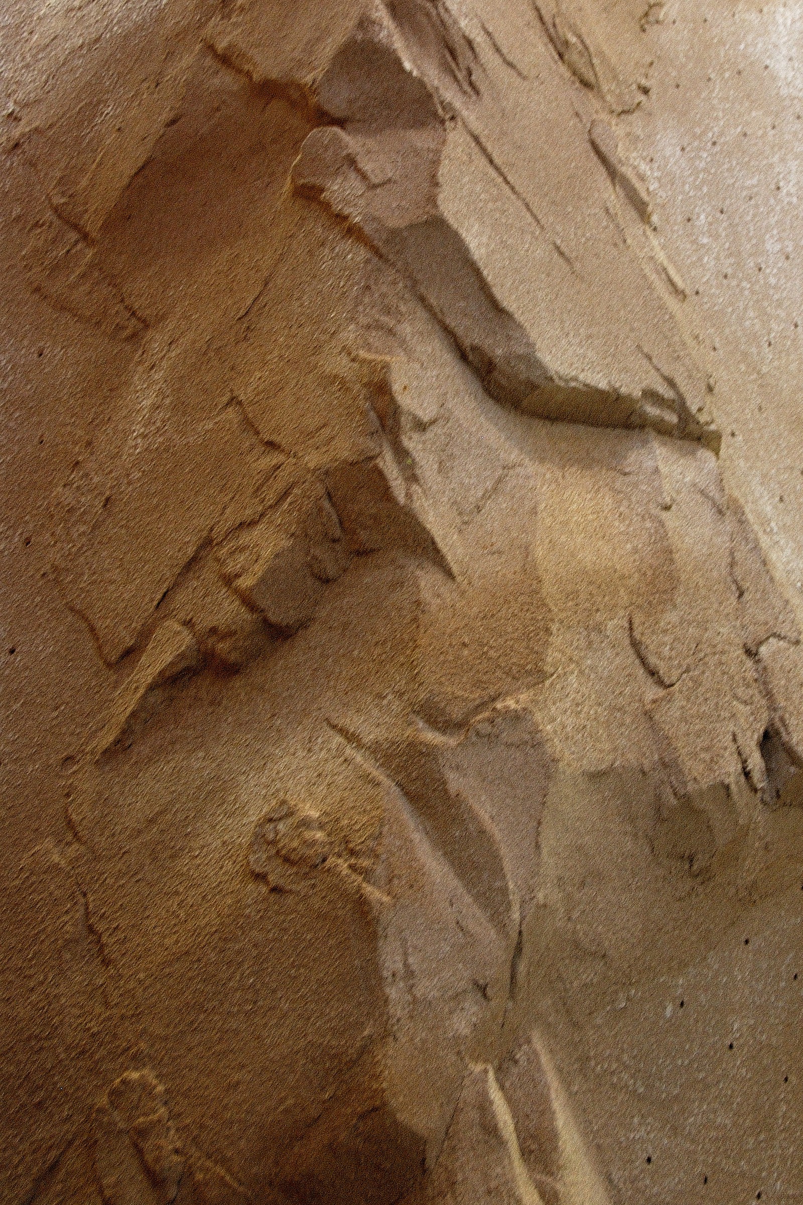 Close-up of StoneCraft climbing wall texture with carved hand and footholds
