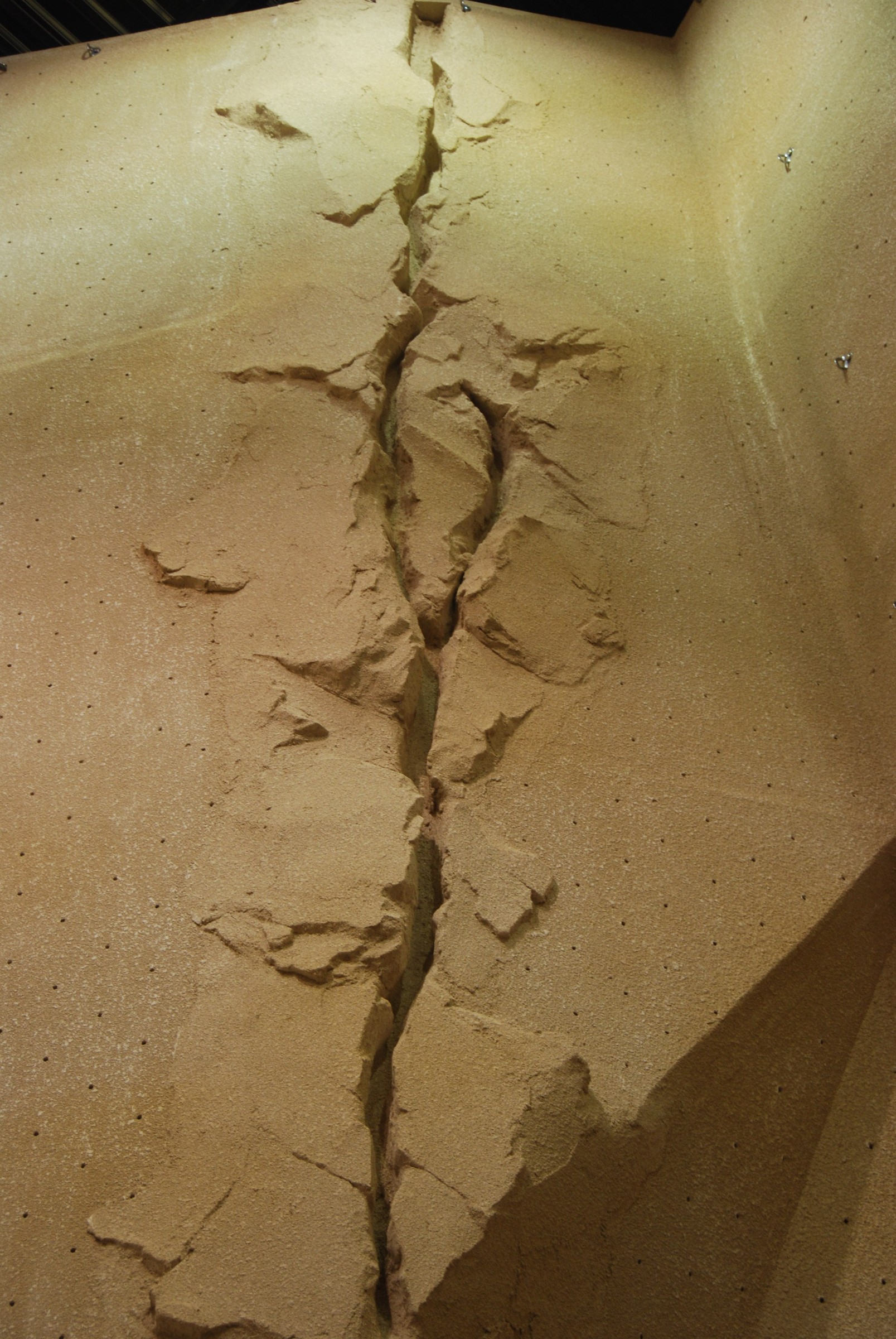 Commercial climbing gym with multiple StoneCraft rock-textured walls and colourful holds